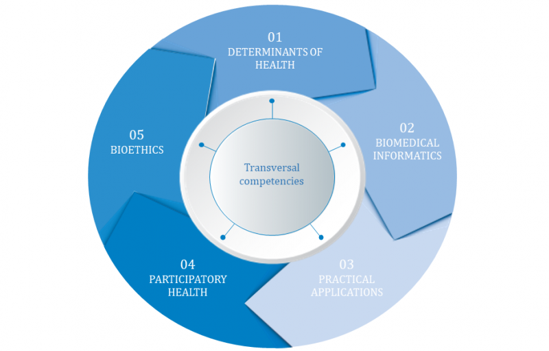 Figure 1. Structure of the competency framework for healthcare professionals in personalized precision medicine.